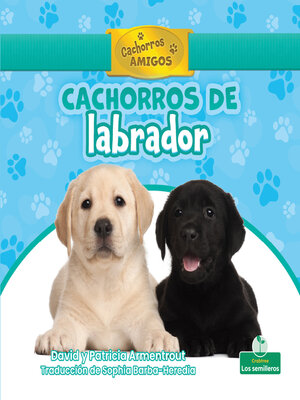 cover image of Cachorros de labrador (Labrador Retriever Puppies)